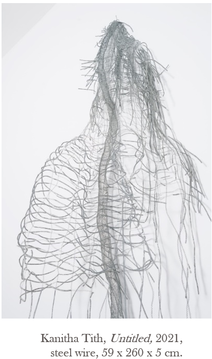 A wire mesh of a human body

Description automatically generated